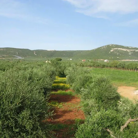 Amazing Sea View, Just 150m From The Beach *